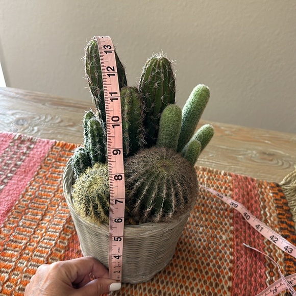 Faux Potted Cactus Arrangement - Picture 8 of 14